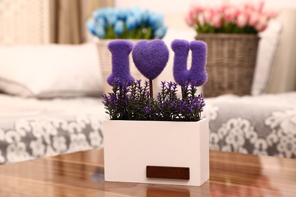 chậu cây i love u